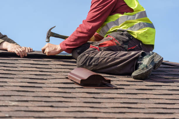 Best Roof Gutter Cleaning  in Lusk, WY